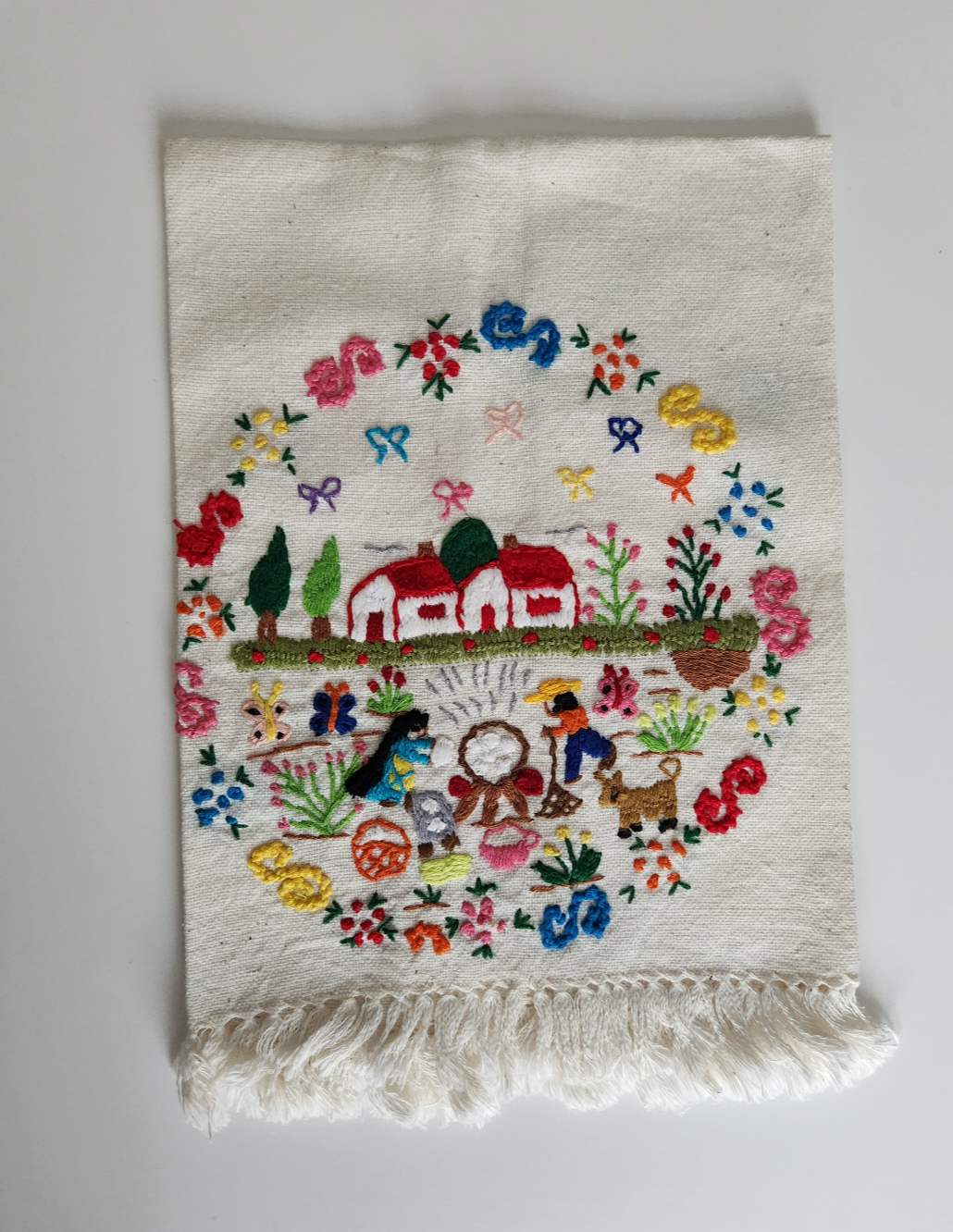 Embroidered Tzintzunzan Napkins